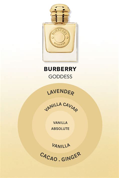 burberry godess dupe|what does burberry smell like.